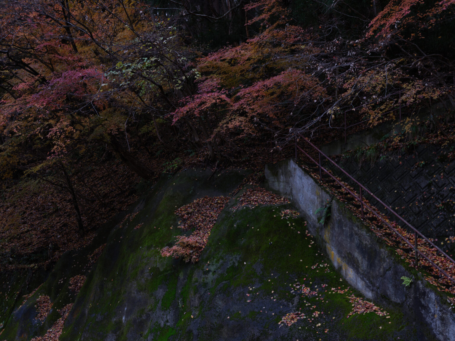 jh 5 1536x1152