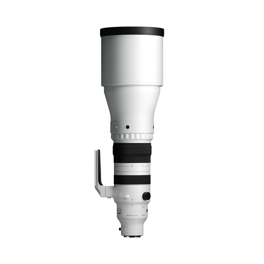300-600mm F4 DG OS | Sports
