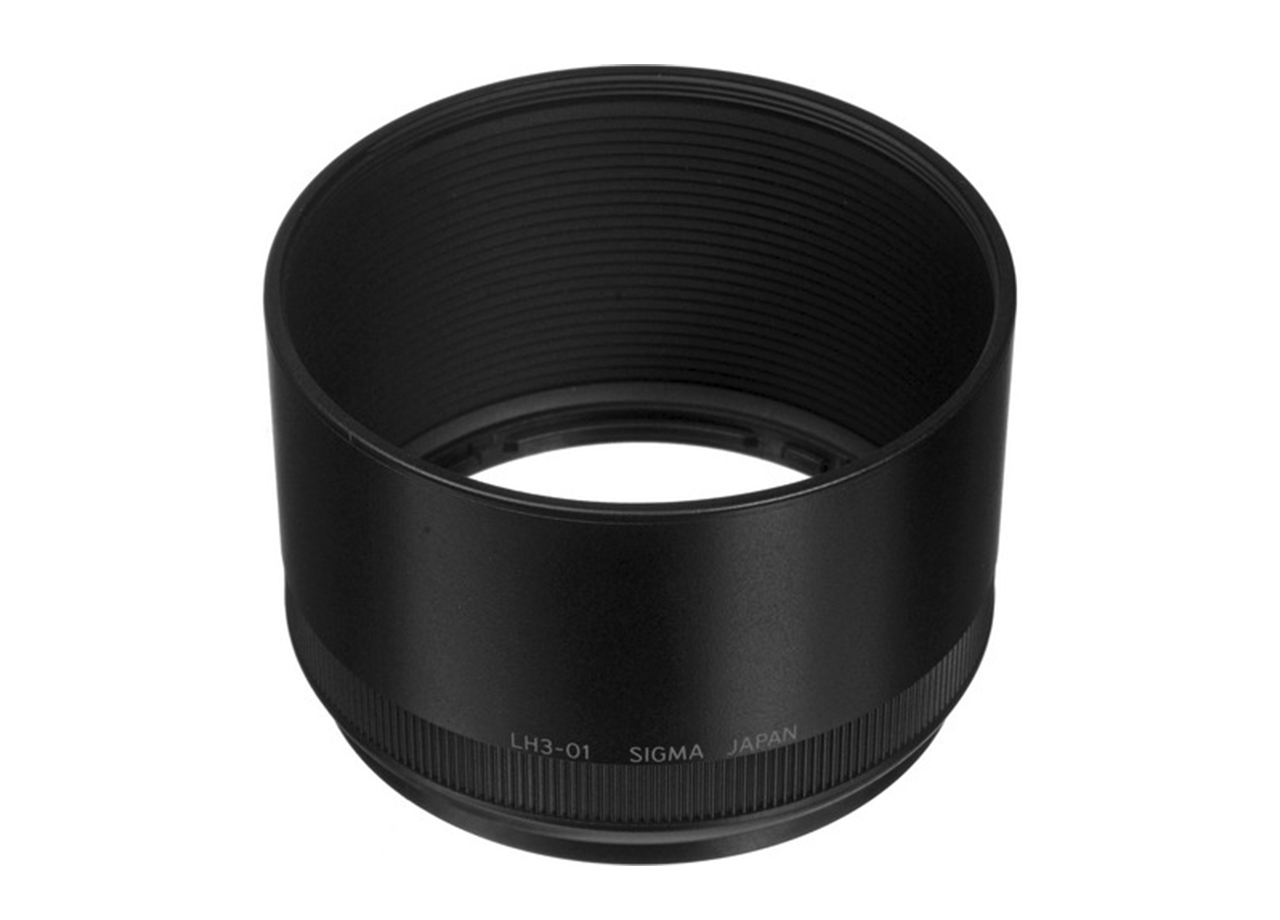 Παρασολέιγ SIGMA LH3-01 για DP3 Merrill