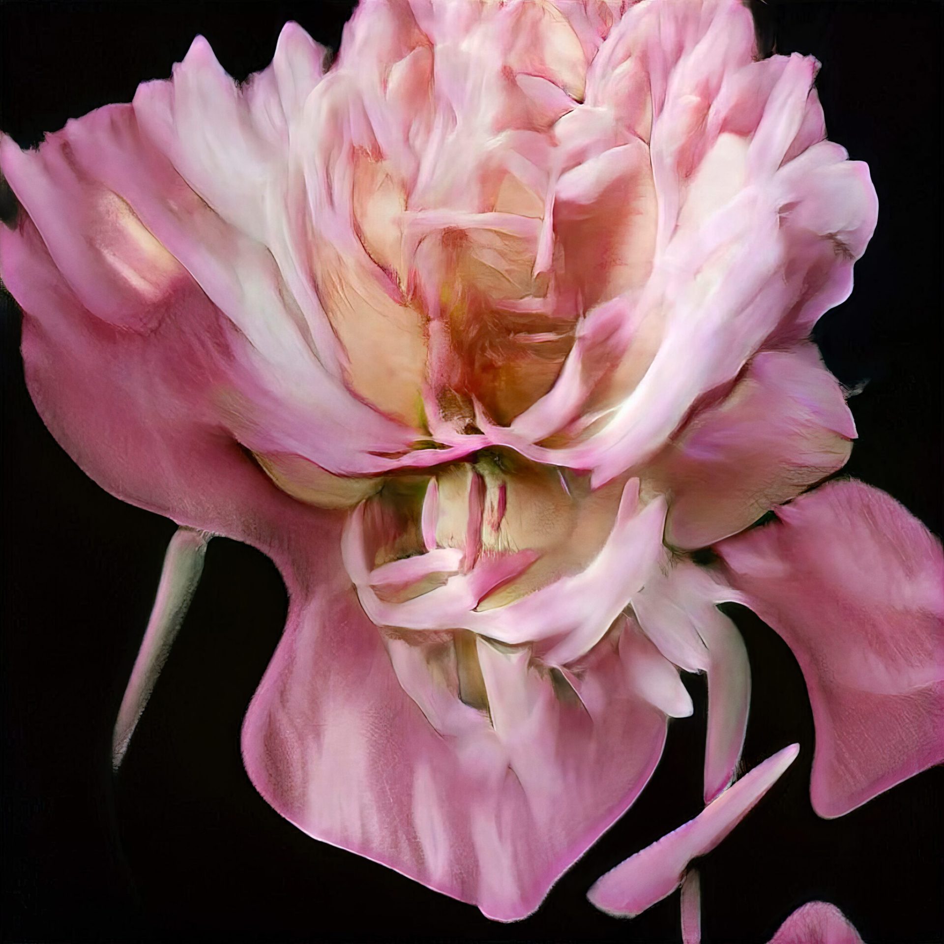 ss_1a-1-2048x2048
